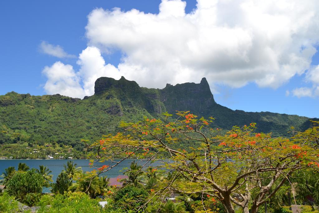 Te Fare Hinahei Apartment Moorea Luaran gambar