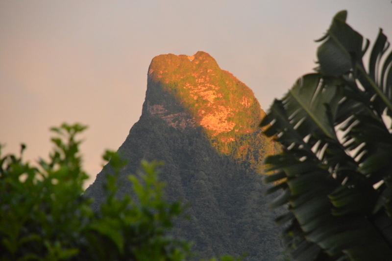 Te Fare Hinahei Apartment Moorea Luaran gambar